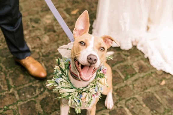 Wedding florals by Blosm Design, shared on Instagram